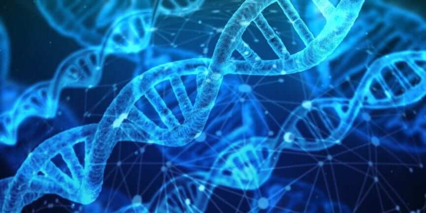 RECAPPING CURRENT RESEARCH REGARDING TYPE 1 DIABETES DEVELOPMENT AND CARDIOVASCULAR RISKS