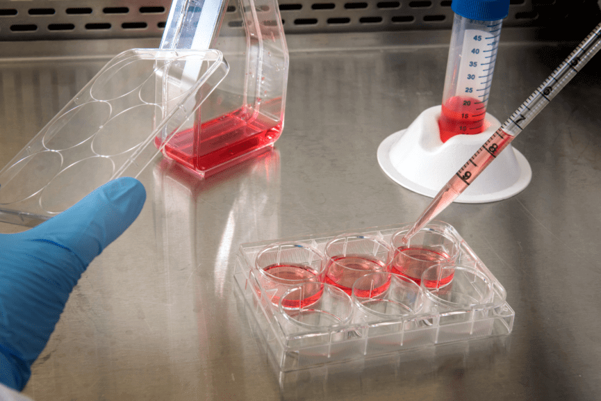 COULD THERE BE MORE THAN ONE FORM OF TYPE 1 DIABETES?